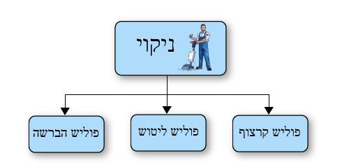 פוליש ניקוי